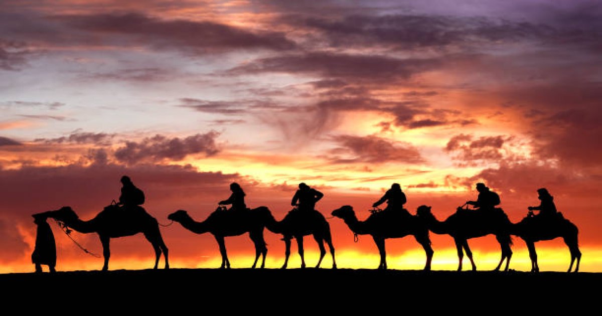 Camel Trek