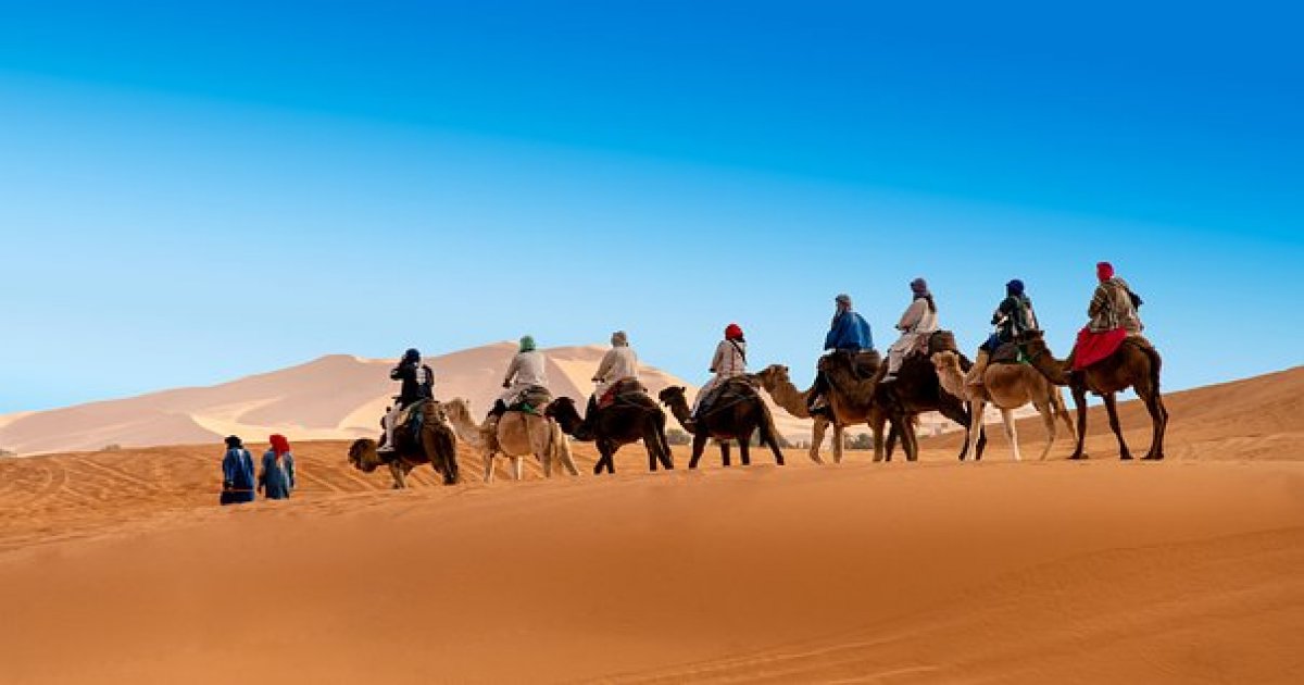 Camel Trek