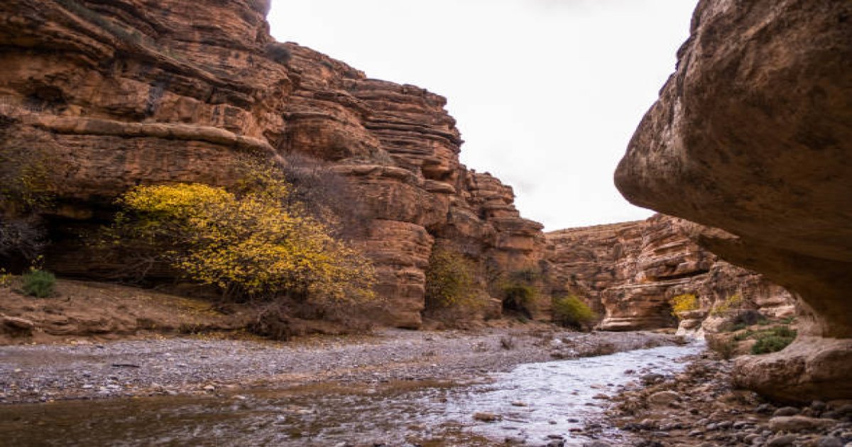 Moroccan Desert Landscape