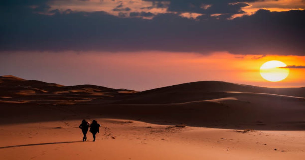 Camel Trek