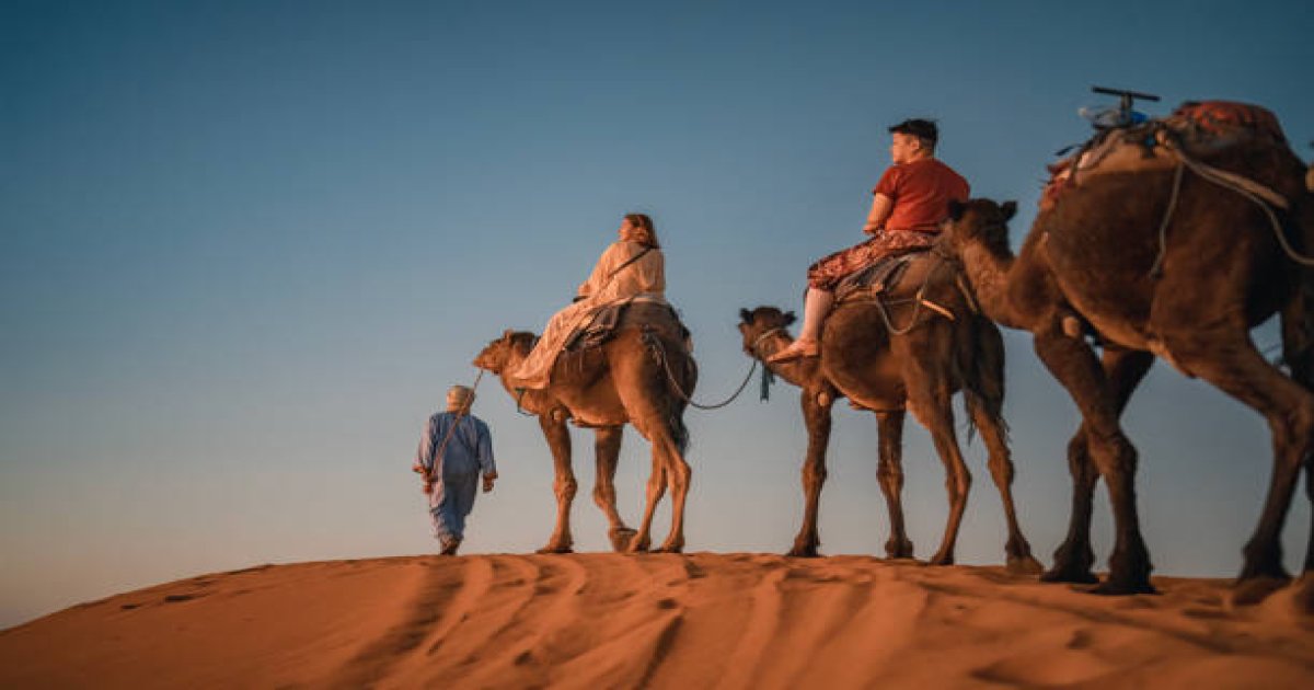 Camel Trek