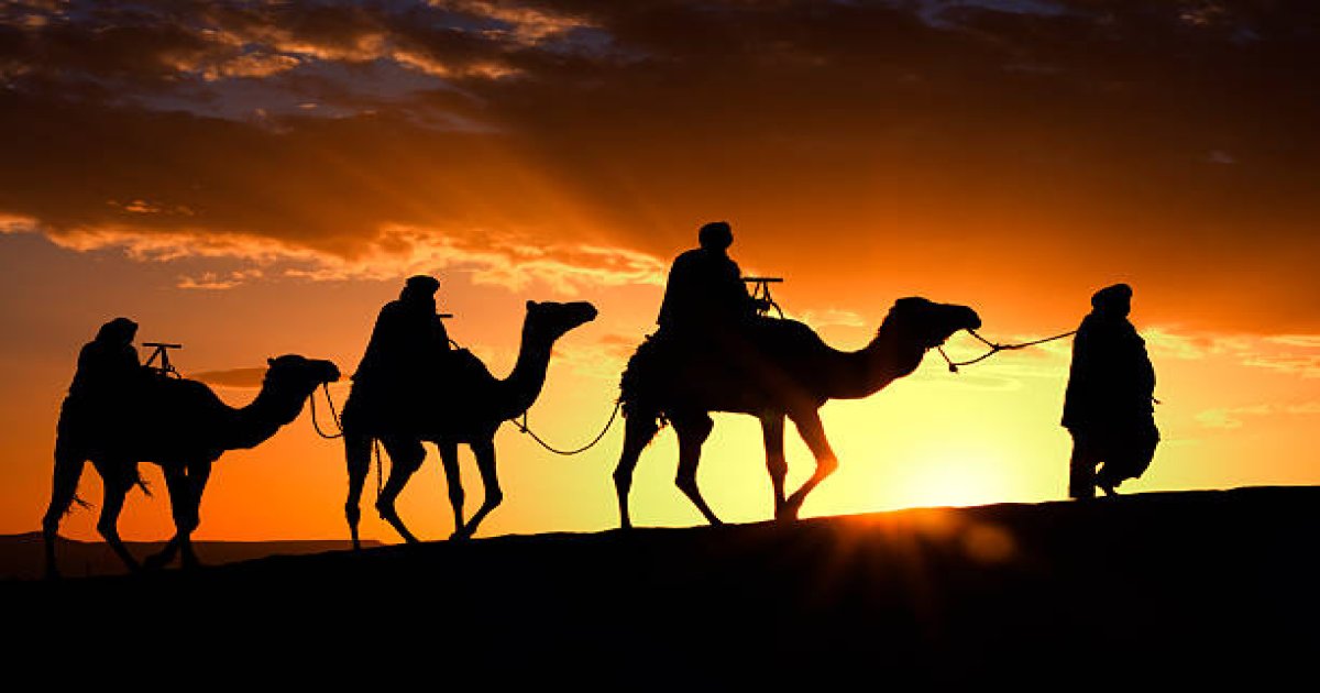 Camel Trek